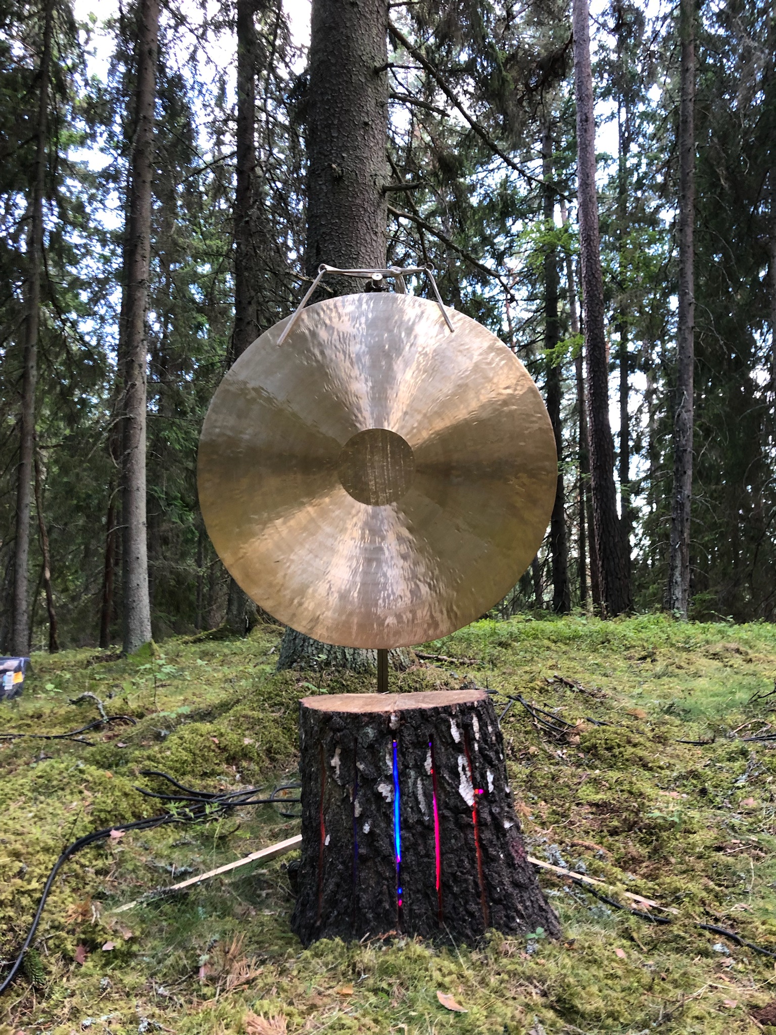The forest gong — 150 metres of LED line woven through trees, pulsing in synchrony with sound